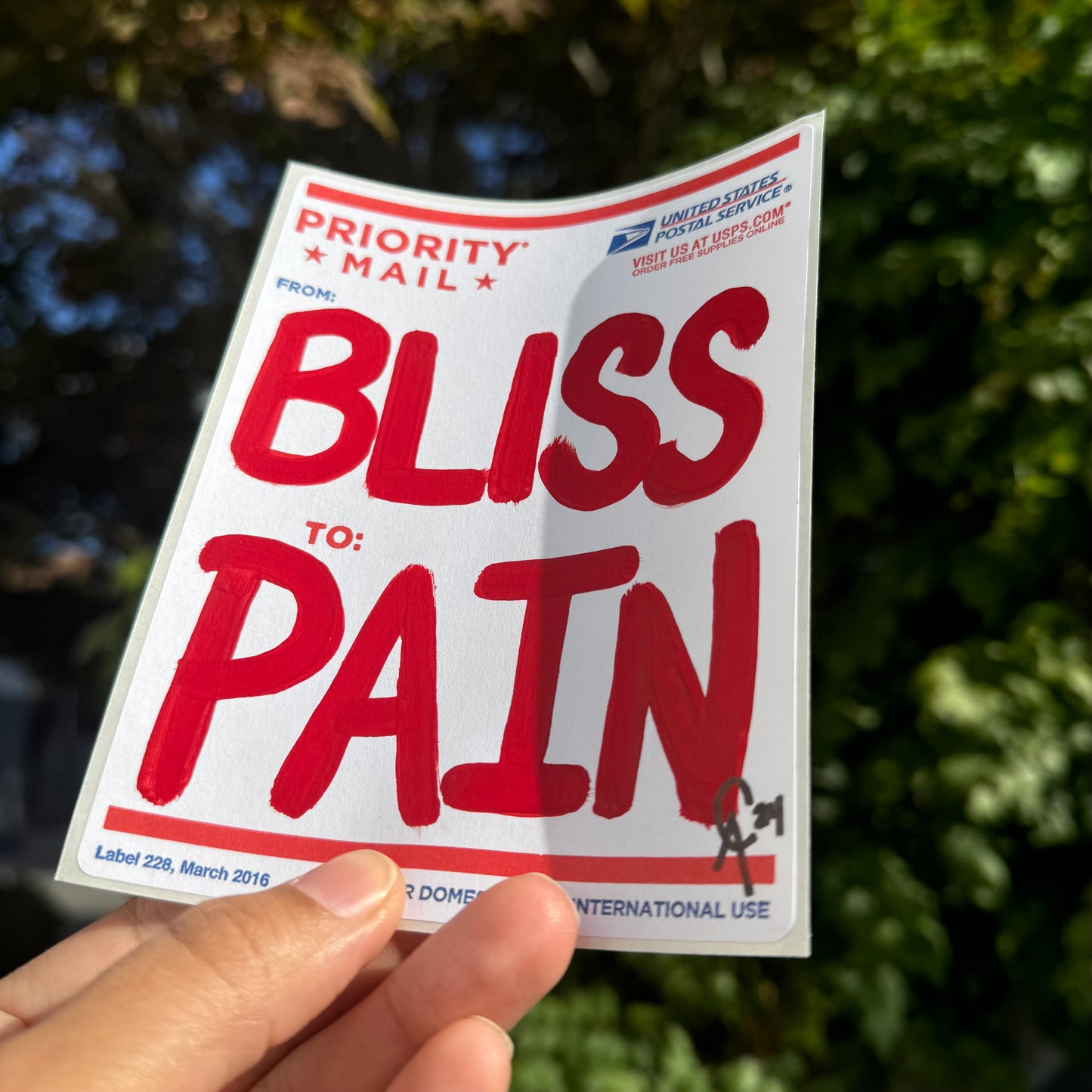 From: Bliss To: Pain